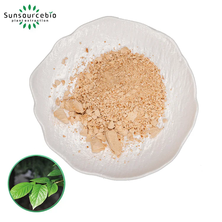 Wie schaltet Eucommia Extract Pulver die Gesundheit frei?