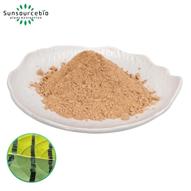Wie unterstützt Eucommia Leaf Extract die moderne Gesundheit und Wellness?